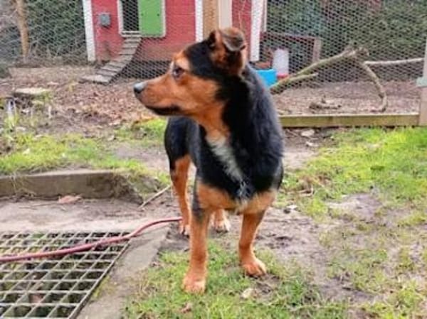 TIERRA - ab Februar auf PS in Duisburg