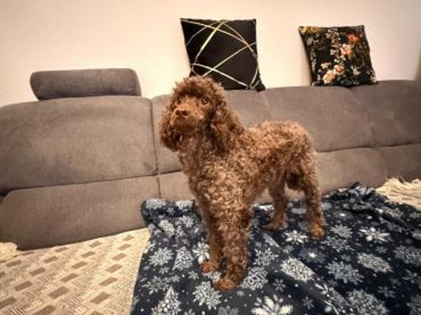 Juria ist klug, charmant und sensibel