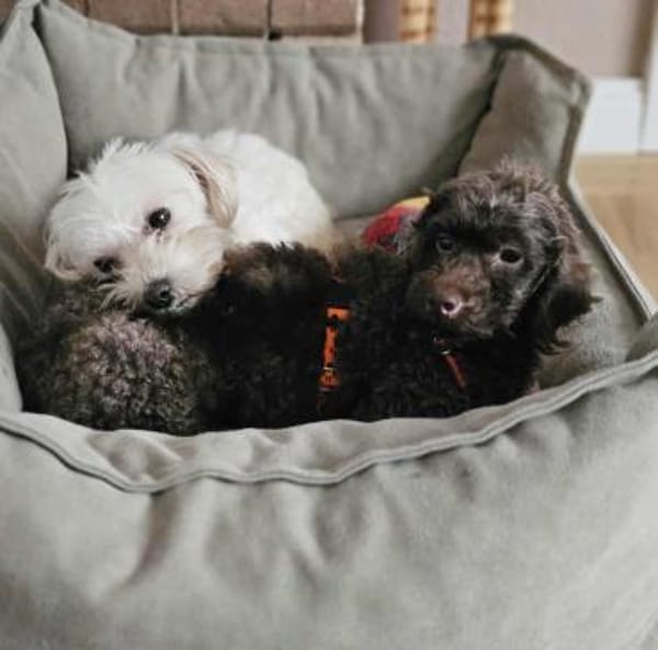 Juria ist klug, charmant und sensibel