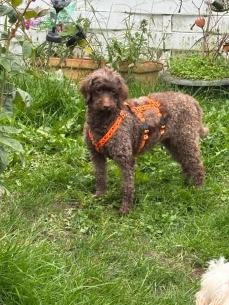 Juria ist klug, charmant und sensibel