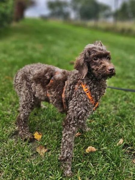 Juria ist klug, charmant und sensibel