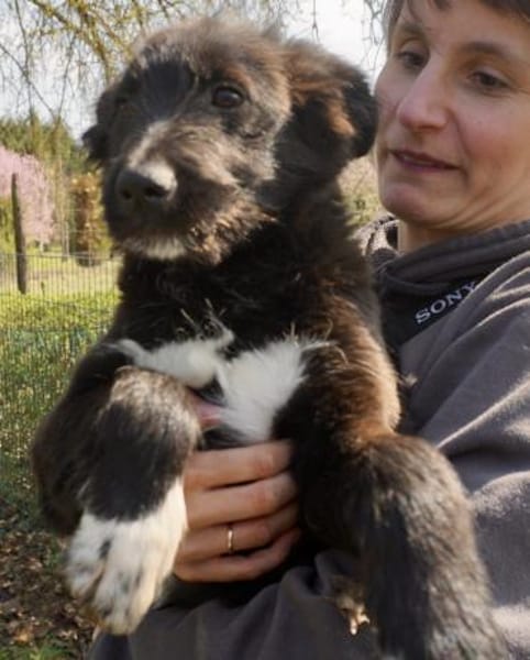 Timon, lernfreudig, verspielt, offen