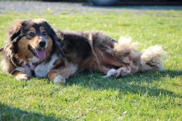 Rusina sucht seine Lieblingsmenschen..