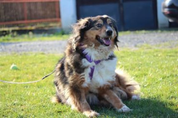 Rusina sucht seine Lieblingsmenschen..