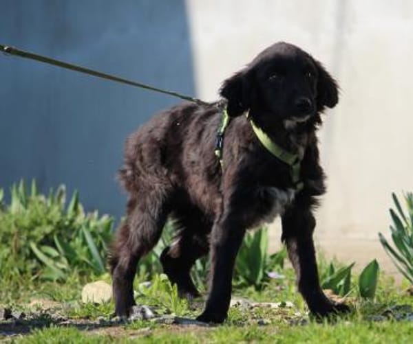 Moon sucht seine Traummenschen...