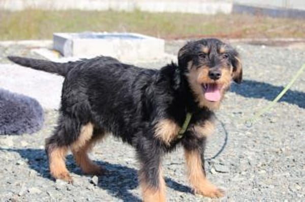 Jaci unser kleiner Prinz.....