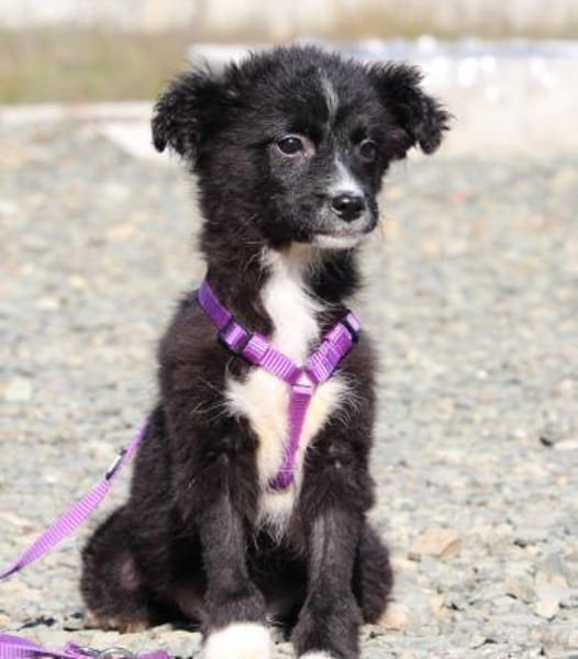 Sinda unsere kleine Prinzessin....