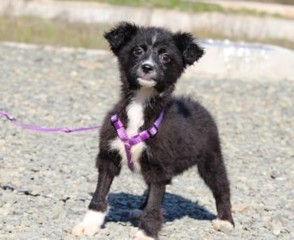 Sinda unsere kleine Prinzessin....