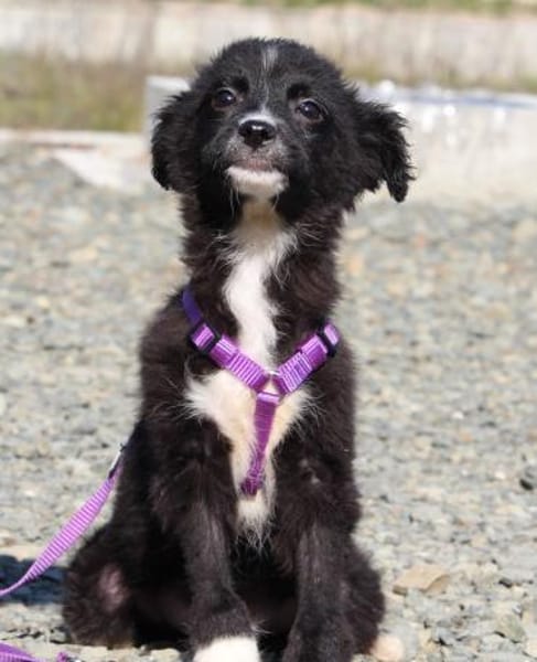 Sinda unsere kleine Prinzessin....