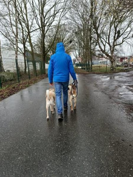 Tapsig fröhlich groß = Jakob- zuckersüß