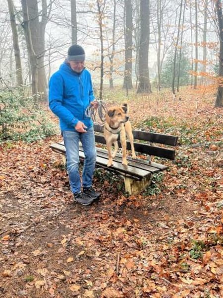 Tapsig fröhlich groß = Jakob- zuckersüß