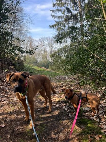 BALU wartet in Essen