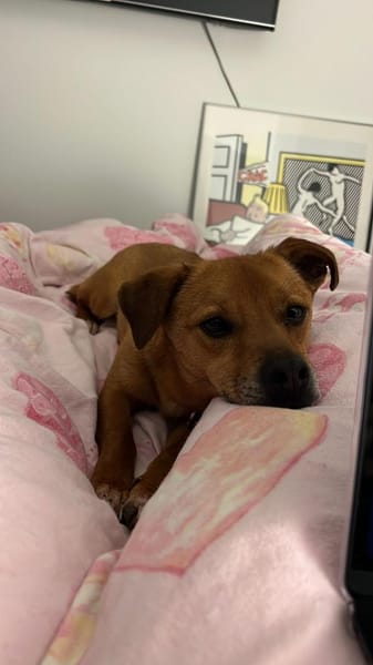 BALU wartet in Essen