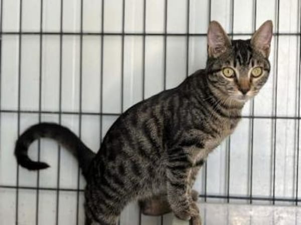 Dunja, kleine Entdeckerin, ca. 8 Monate