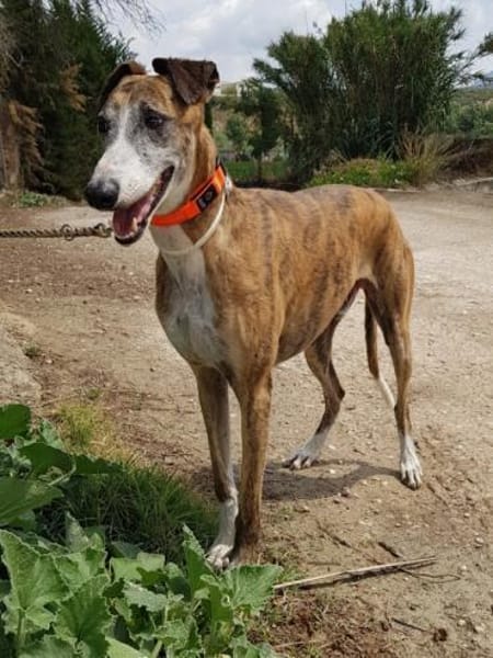 Jupiter hat leider sein Zuhause verloren