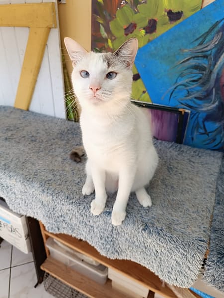 Lily Rose, choisissez-moi