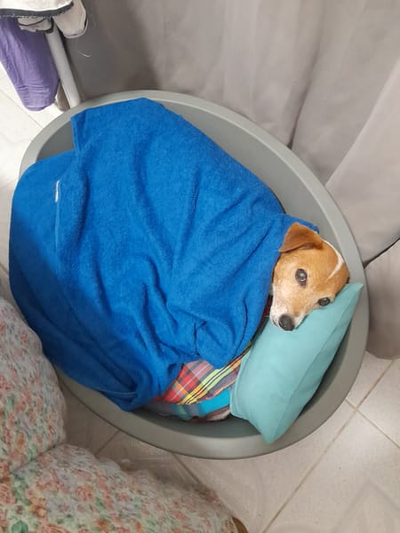 RUDY la boule d'énergie