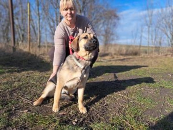 Lotte, liebenswerte Junghündin, ca. 7 Mo