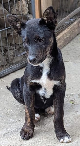 Süße MIMI möchte dein Herz stehlen