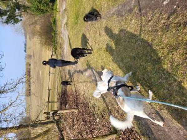 Aufpasser, Schmusebär, Frechdachs..