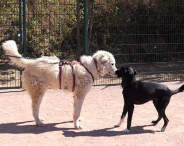 Boss wartet bereits auf dich!