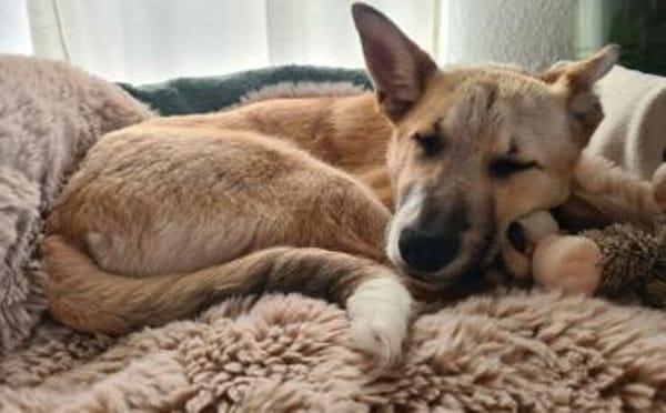 Quax - Bereit für Abenteuer?