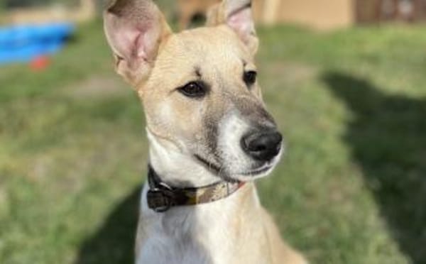 Quax - Bereit für Abenteuer?