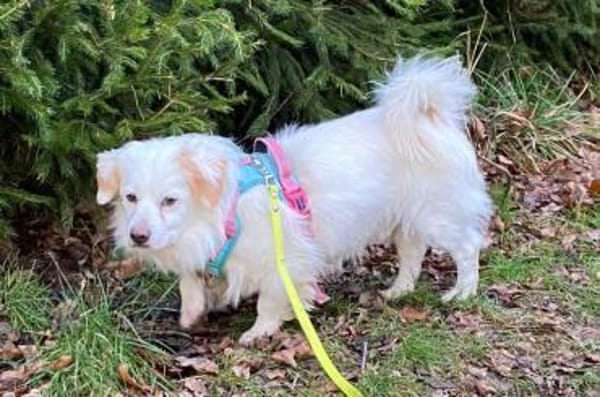 TY sucht erfahrene Menschen mit Herz