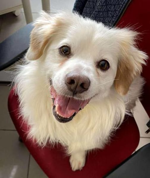 TY sucht erfahrene Menschen mit Herz