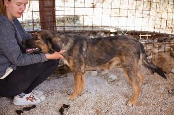 Jacky 💗 in 89186 Illerrieden-Dorndorf