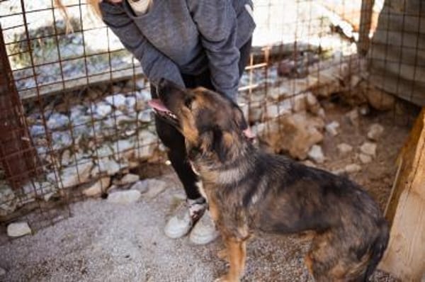 Jacky 💗 in 89186 Illerrieden-Dorndorf