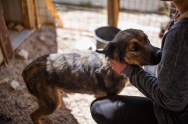 Jacky 💗 in 89186 Illerrieden-Dorndorf