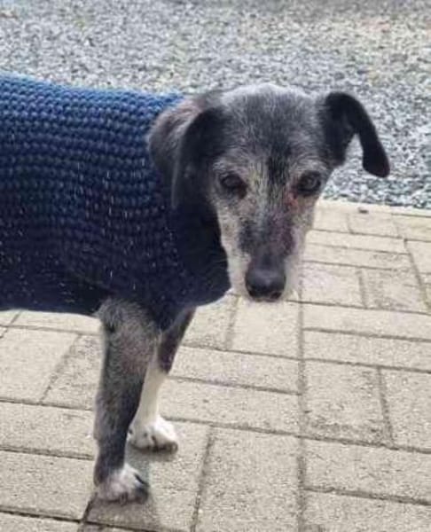 Masola traumhafte Seniorin