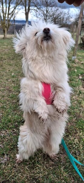 Annabelle sucht IHRE Menschen!