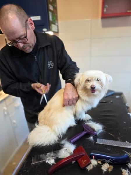 Annabelle sucht IHRE Menschen!