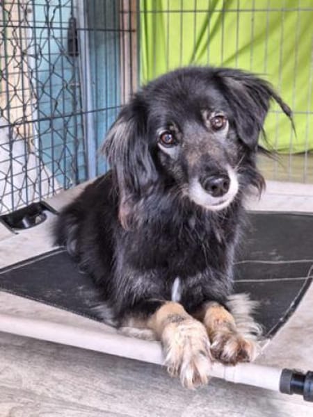 Alice sucht ihr Wunderland