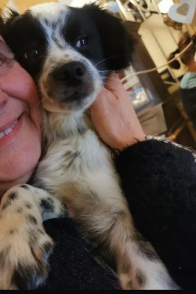 Merlin sucht dringend erfahrenes Zuhause