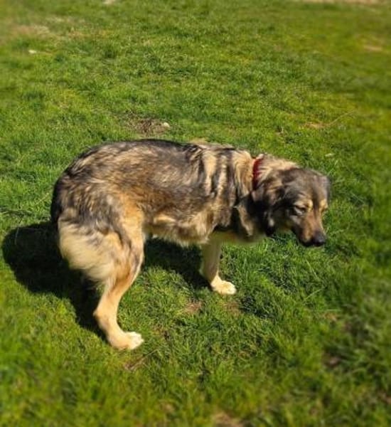 Barry total verschmust