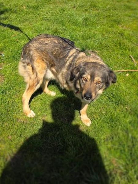 Barry total verschmust