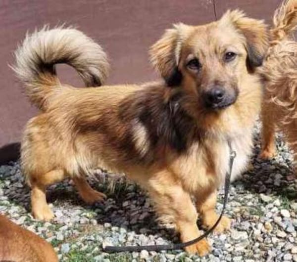 Cameron, sehr lernwillig