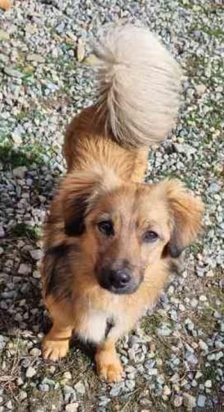 Cameron, sehr lernwillig