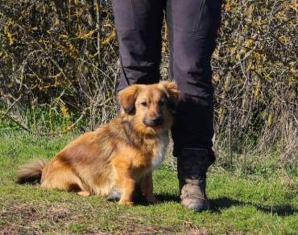 Cameron, sehr lernwillig