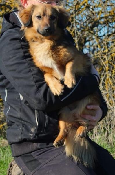 Cameron, sehr lernwillig