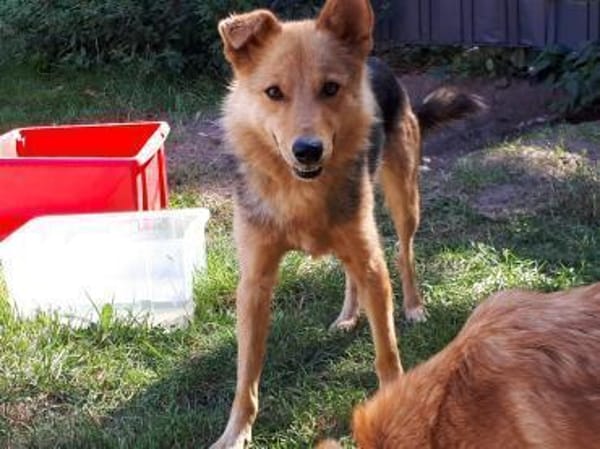 Yuki - schüchterne Schönheit