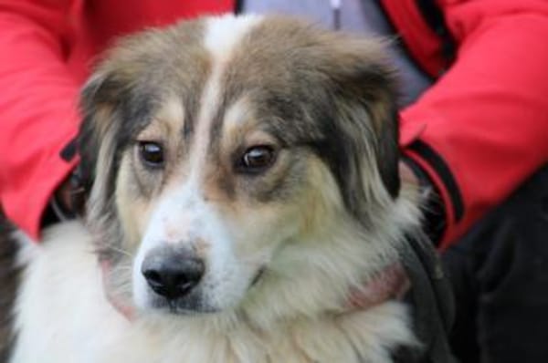 Niti - liebenswert u. angenehm