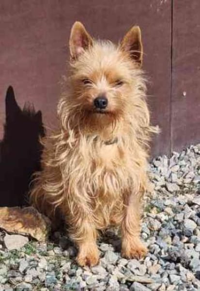 Giovanni su. erfahrene Besitzer