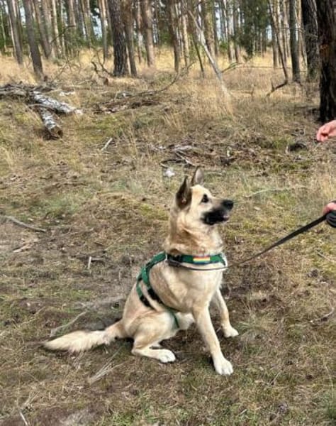 Phili  gerettet und dann?