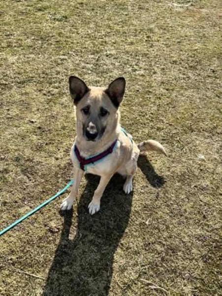 Phili  gerettet und dann?