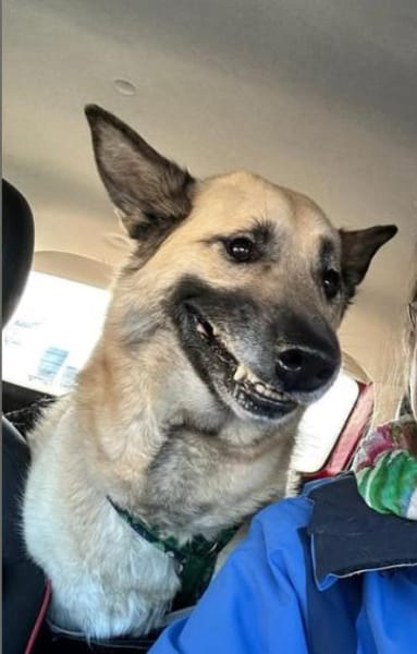 Phili  gerettet und dann?