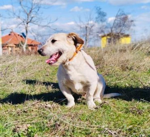 Irma ein sehr sozial und freundlich